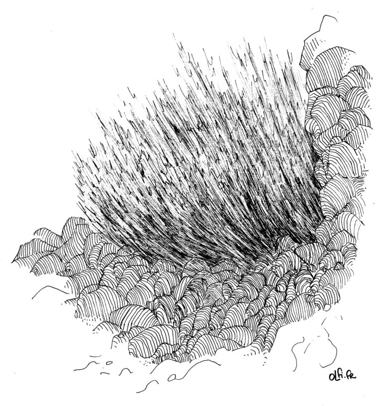 Buisson ardent - Dessin à l'encre par OLFi